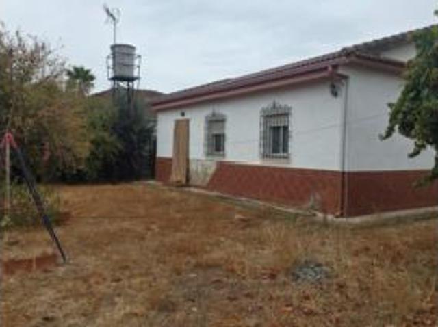 Chalet rústico Venta Almodóvar del Río, Cortijo de La Torre