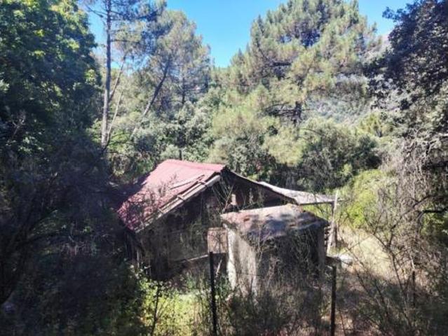 Chalet rústico Venta Algatocín, Algatocín