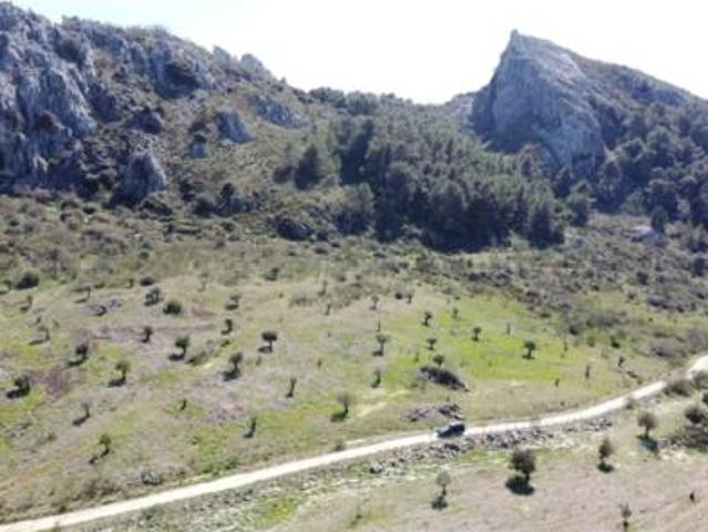 Chalet rústico Venta Benadalid, Benadalid
