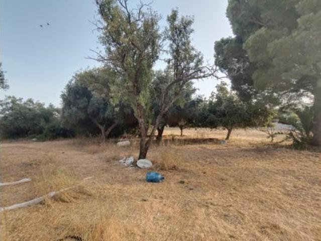 Chalet rústico Venta Chiclana de la Frontera, Pago del Humo Polígono de Pelagatos