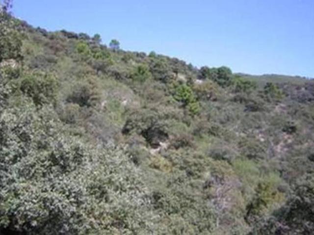 Chalet rústico Venta Faraján, Faraján