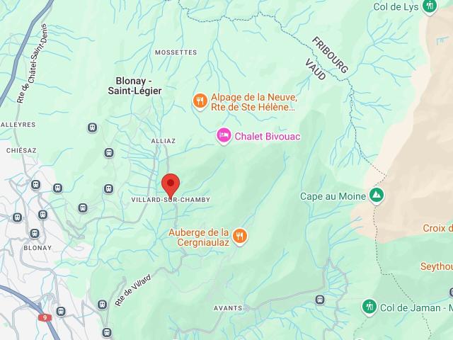 Chalet with 15 rooms on sale in Villard sur Chamby Ref 1831 1 | dreamo. Ch