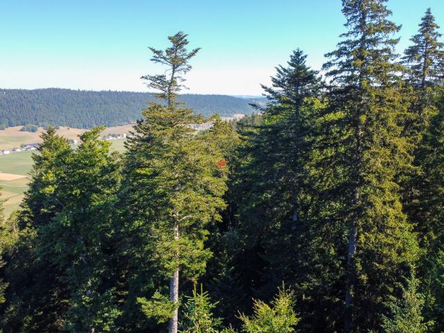 Chalet with 2 rooms on sale in Côtes de Marmoud 40 m² | dreamo. Ch