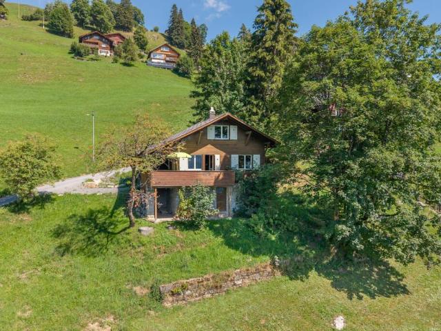 Chalet Wieserai