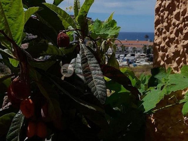 Chalet, Torrox