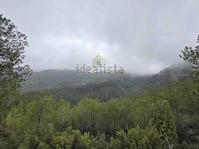 Chalet, Torralba del Pinar