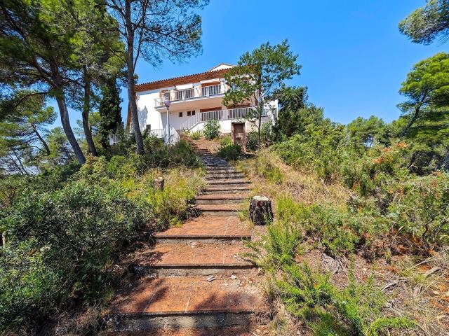 Chalet, Torrelavit