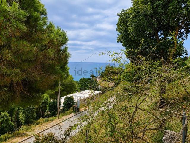 Chalet, Tossa de Mar