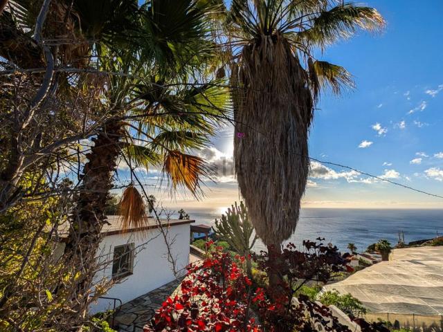 Chalet, Tazacorte