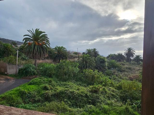 Chalet, Tacoronte