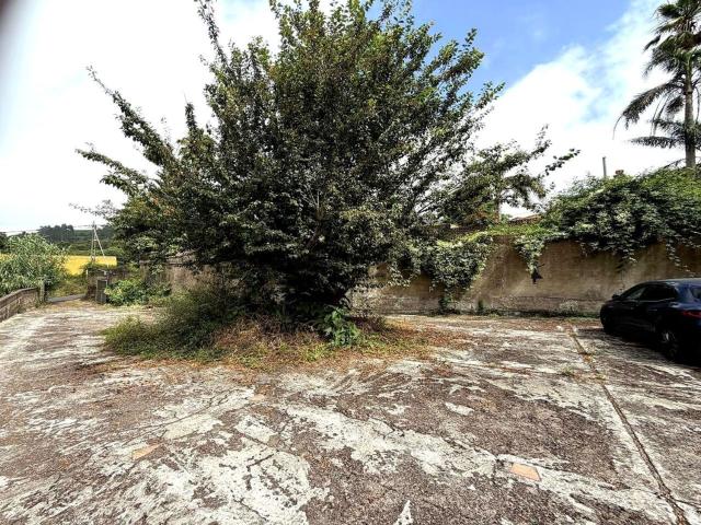 Chalet, Tacoronte
