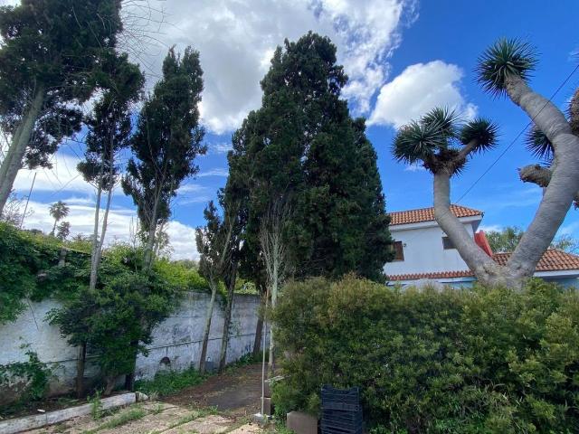 Chalet, Tacoronte