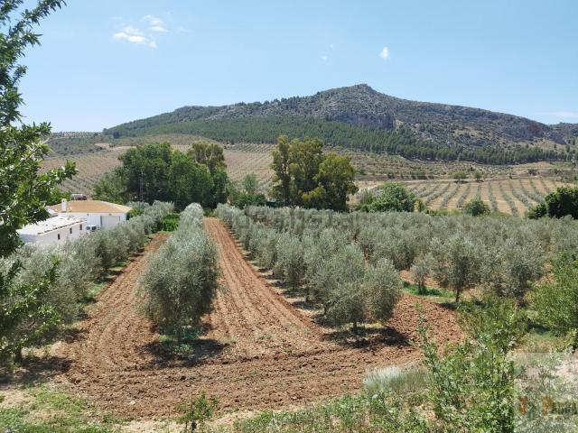 Chalet, Teba