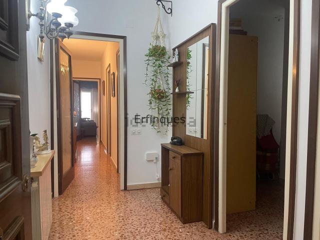 Chalet, Terrassa