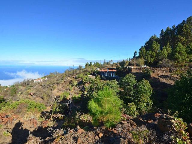 Chalet, Tijarafe