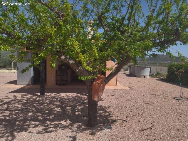 CHALET TIPO RUSTICO INDEPENDIENTE