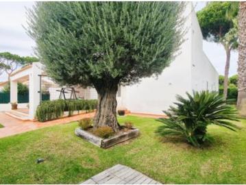 Cartaya, Huelva, Andalucía, Andalucía