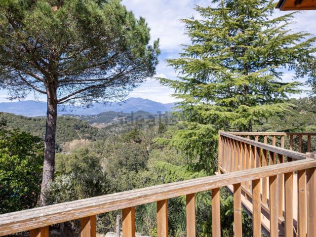 Chalet, Vallgorguina