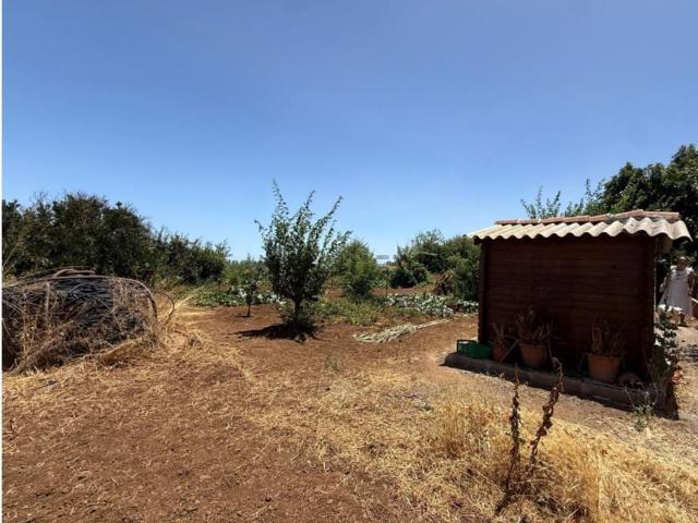 Chalet, Vega de San Mateo