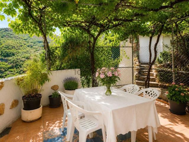 Chalet, Vega de San Mateo