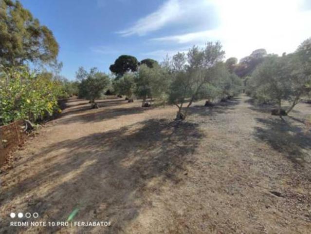 Chalet Venta Coria, Coria