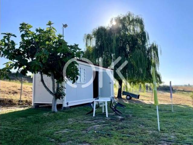Chalet Venta Coria, Coria