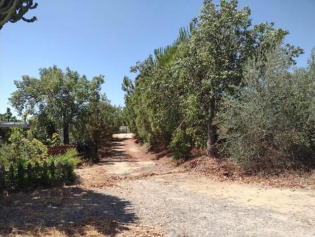 Chalet Venta Cantillana, Cantillana