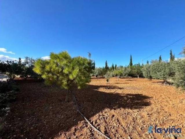 Chalet Venta Casariche, Casariche