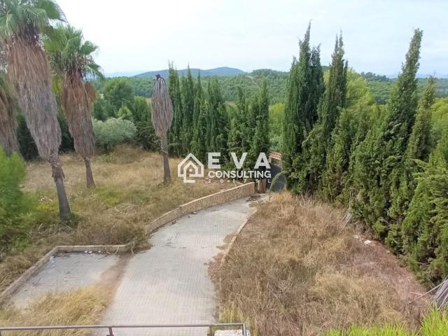 Chalet Venta Castellón