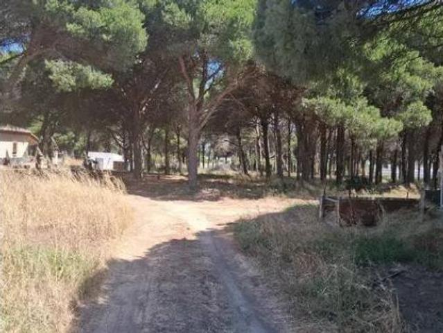 Chalet Venta Chiclana de la Frontera, Campano San Andrés Golf