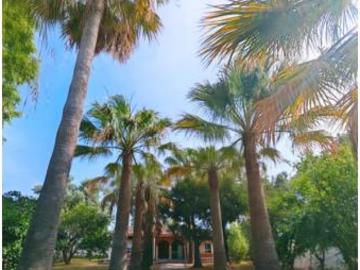 Chalet Venta Chiclana de la Frontera, Pinar de los Franceses El Marquesado