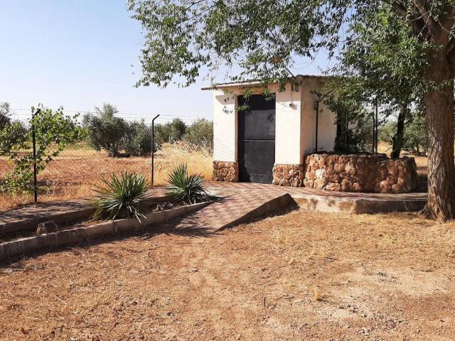 Chalet Venta Ciudad Real