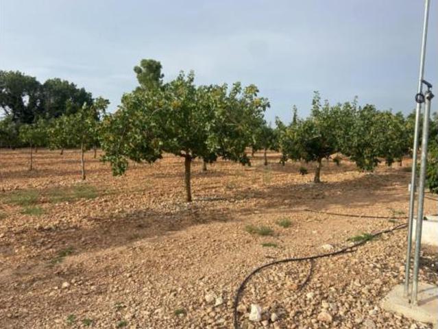 Chalet Venta Ciudad Real Capital, Área Rural Valverde Las Casas