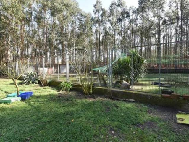 Chalet Venta Cuntis, Cuntis