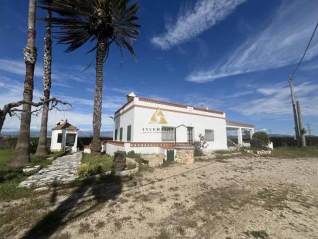 Chalet Venta Amposta, Poble Nou del Delta Eucaliptus
