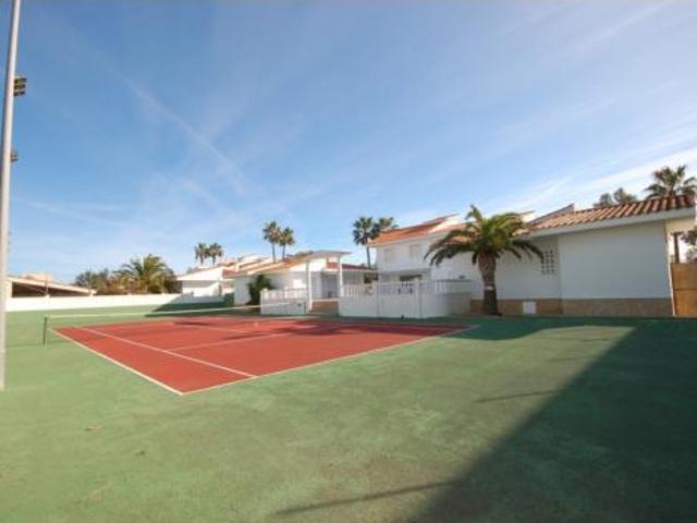 Chalet Venta Amposta, Poble Nou del Delta Eucaliptus
