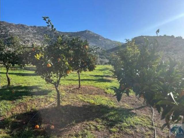Chalet Venta Alange, Alange