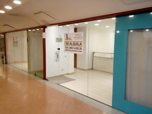 Chalet Venta Alava