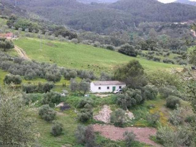 Chalet Venta Algodonales, Algodonales