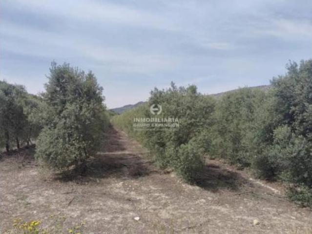 Chalet Venta Alicante Alacant, Alicante Alacant