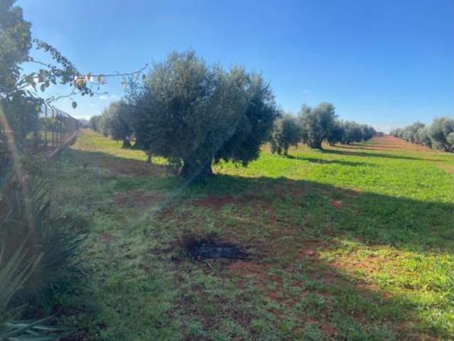 Chalet Venta Almagro, Almagro