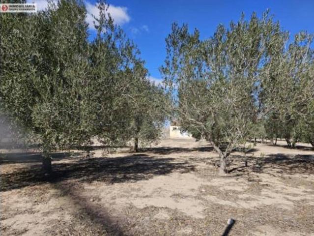 Chalet Venta Aspe, Aspe