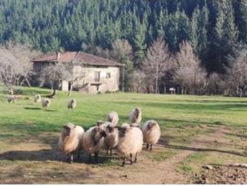 Chalet Venta Ayala Aiara, Añes