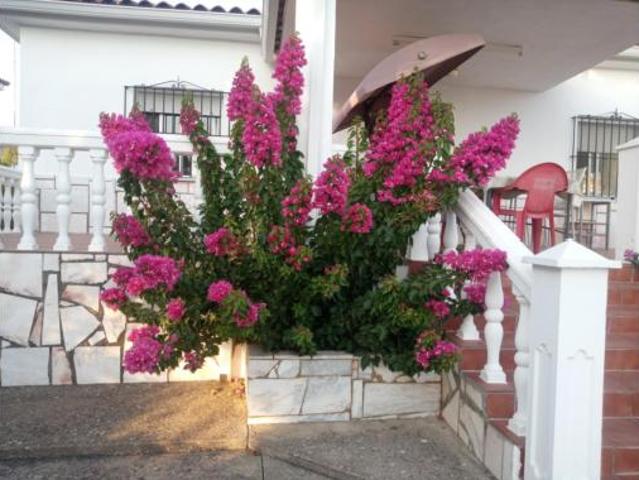 Chalet Venta Badajoz Capital, Los Montitos Carretera de Sevilla