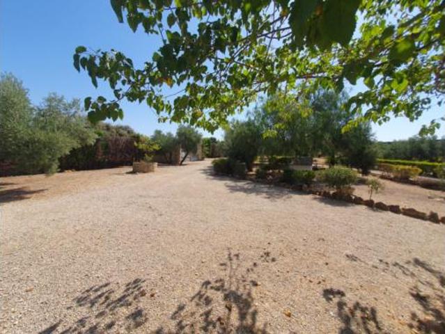 Chalet Venta Baeza, Yedra