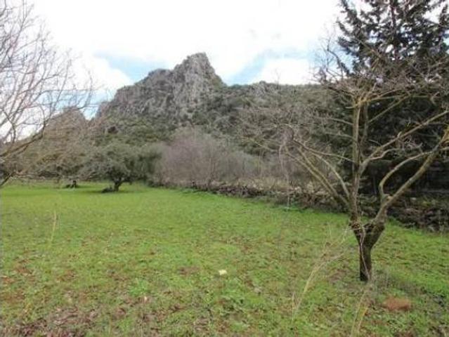 Chalet Venta Benaoján, Benaoján