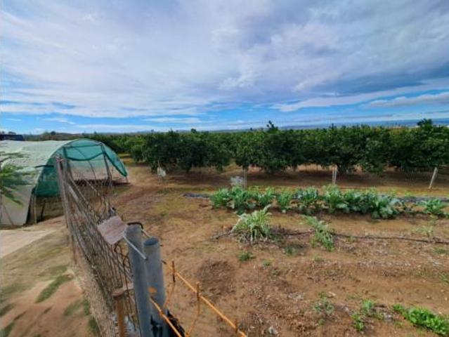 Chalet Venta Benimuslem, Benimuslem