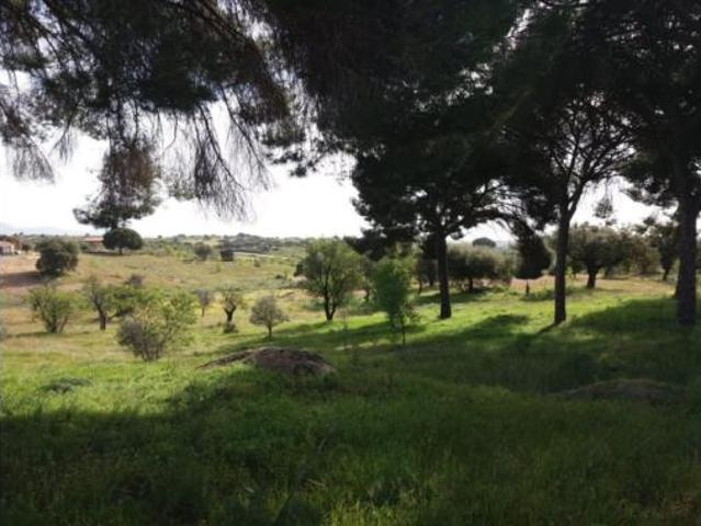 Chalet Venta Garrovillas de Alconétar, Garrovillas de Alconétar