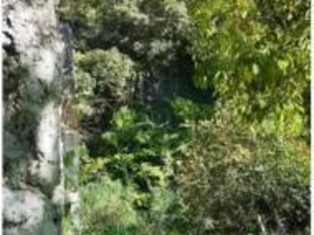 Chalet Venta Genalguacil, Genalguacil