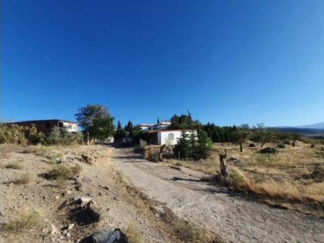 Chalet Venta Dólar, Dólar